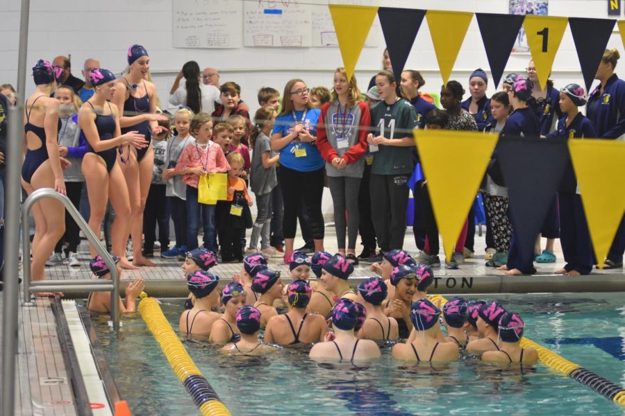 Girls swimmers prove themselves this season