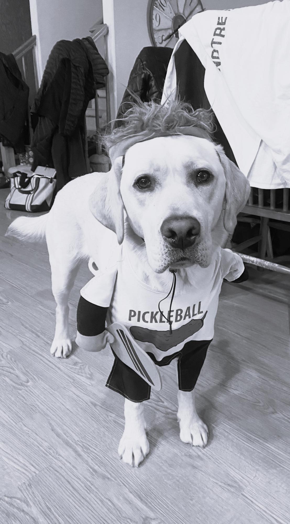 Scout is a pickleball fan, like so many are! 
Photo submitted by Drew Burris