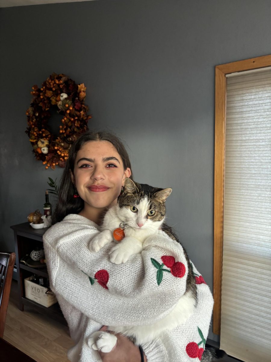 Mochi lazing in the arms of his favorite human (the food giver)